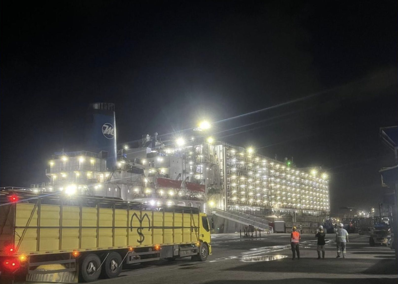 Maior navio boiadeiro do mundo