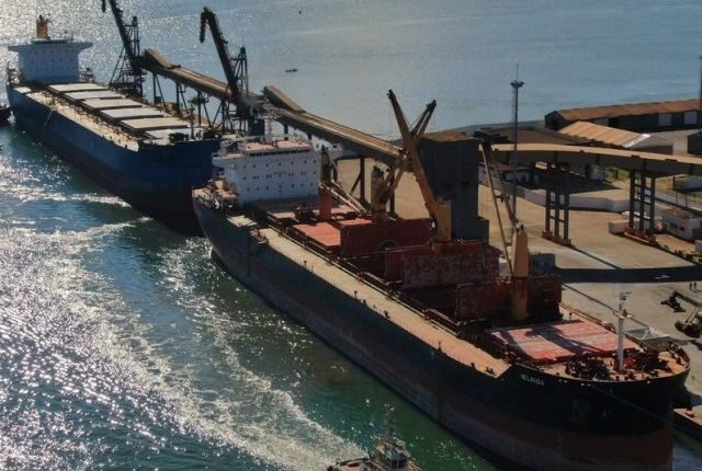 Pecuária lidera exportações do agro catarinense em 2024, com destaque para carne de frango e suína