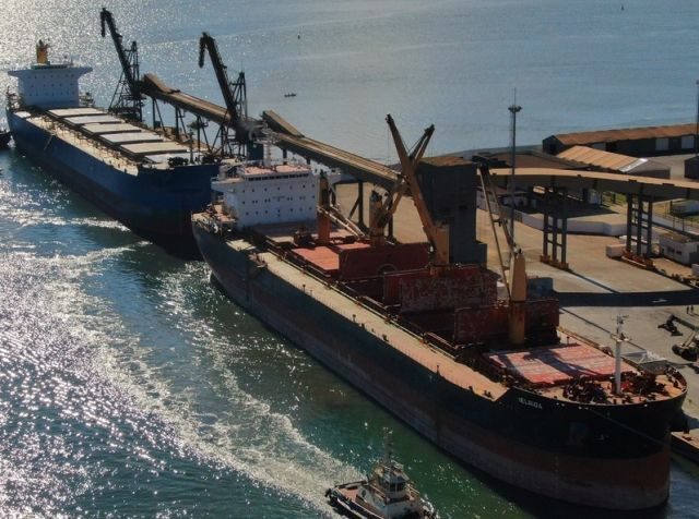 Pecuária lidera exportações do agro catarinense em 2024, com destaque para carne de frango e suína 