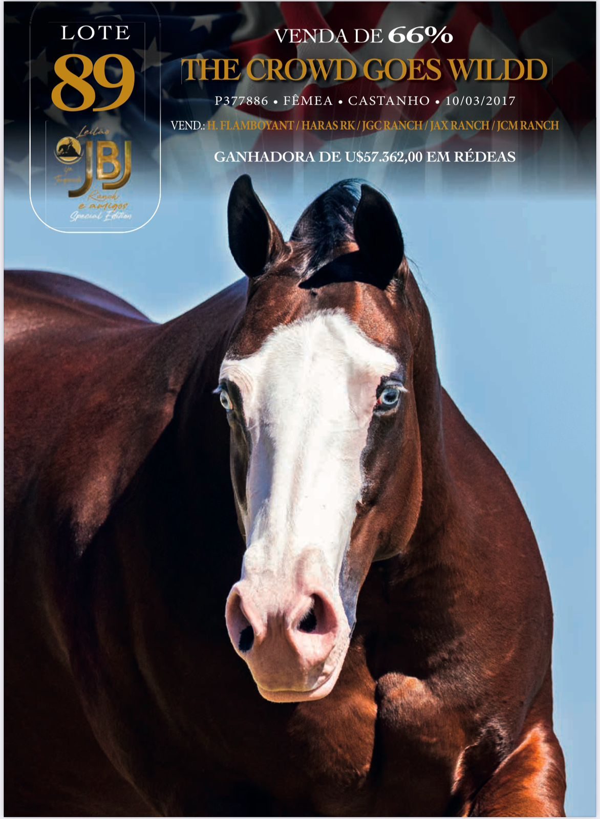 Superando Limites: JGC Ranch leva genética rara ao Leilão JBJ Ranch & Amigos