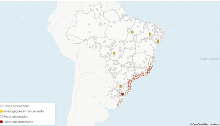 Casos suspeitos de gripe aviária são investigados em cinco estados pelo MAPA