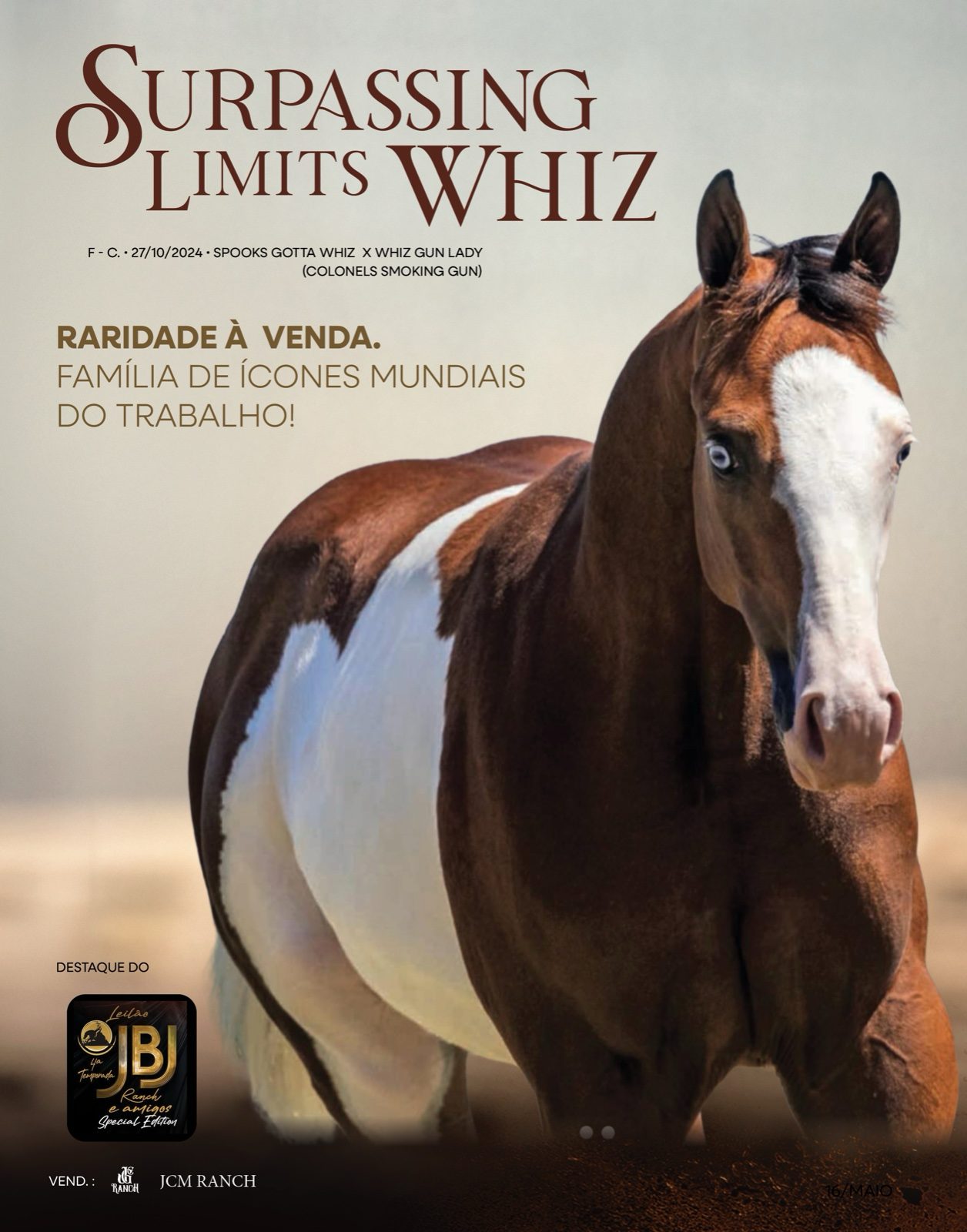 Superando Limites: JGC Ranch leva genética rara ao Leilão JBJ Ranch & Amigos