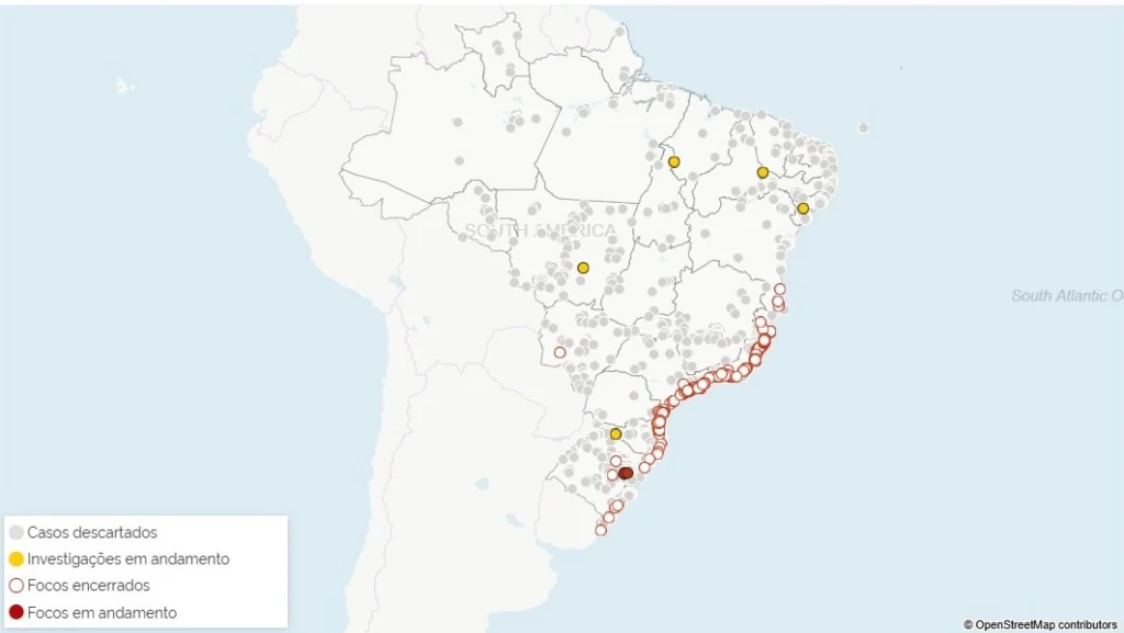 Casos suspeitos de gripe aviária são investigados em cinco estados pelo MAPA
