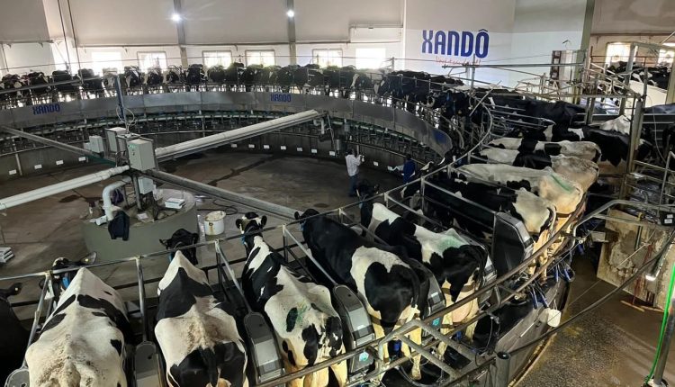 Entenda o que é o sistema Cross Ventilation e como ele funciona