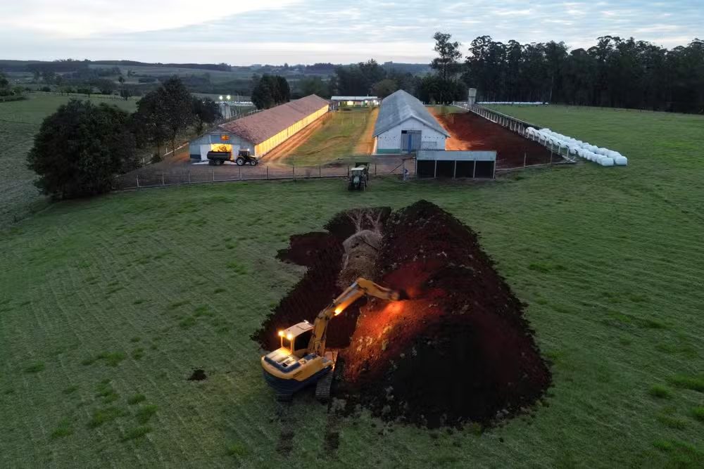 O Centro Estadual de Vigilância em Saúde (Cevs) esclarece que o risco de infecção - em casos de contato direto e frequente com animais doentes, vivos ou mortos - por influenza aviária em humanos é considerado baixo, mas não é impossível. Até o momento, apenas o trabalhador de granja com foco de gripe aviária apresentou sintomas