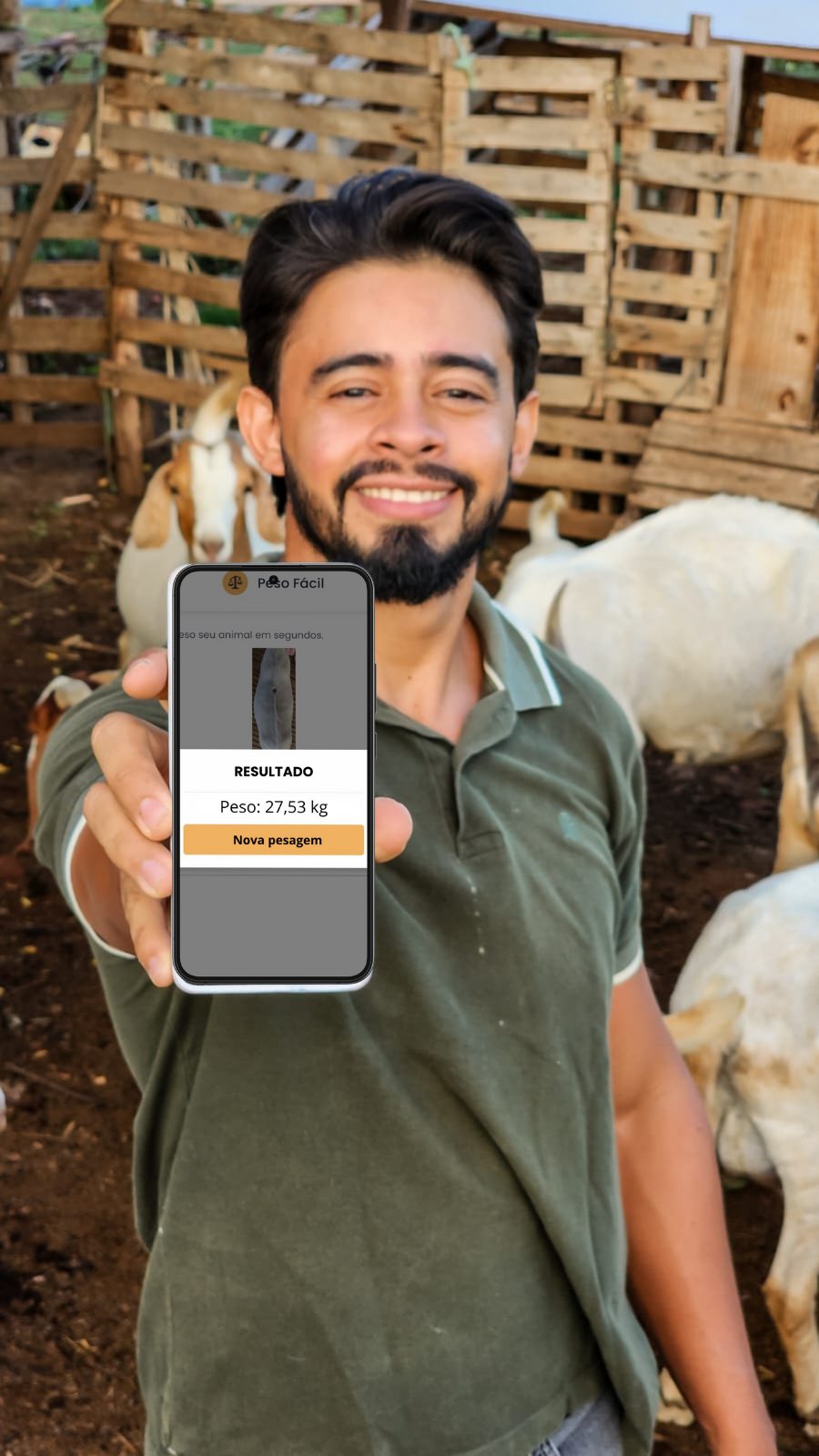 Ferramenta inovadora da CabraTech transforma a caprinovinocultura com tecnologia acessível e foco no pequeno produtor; Aplicativo que pesa animais pelo celular é uma das opções