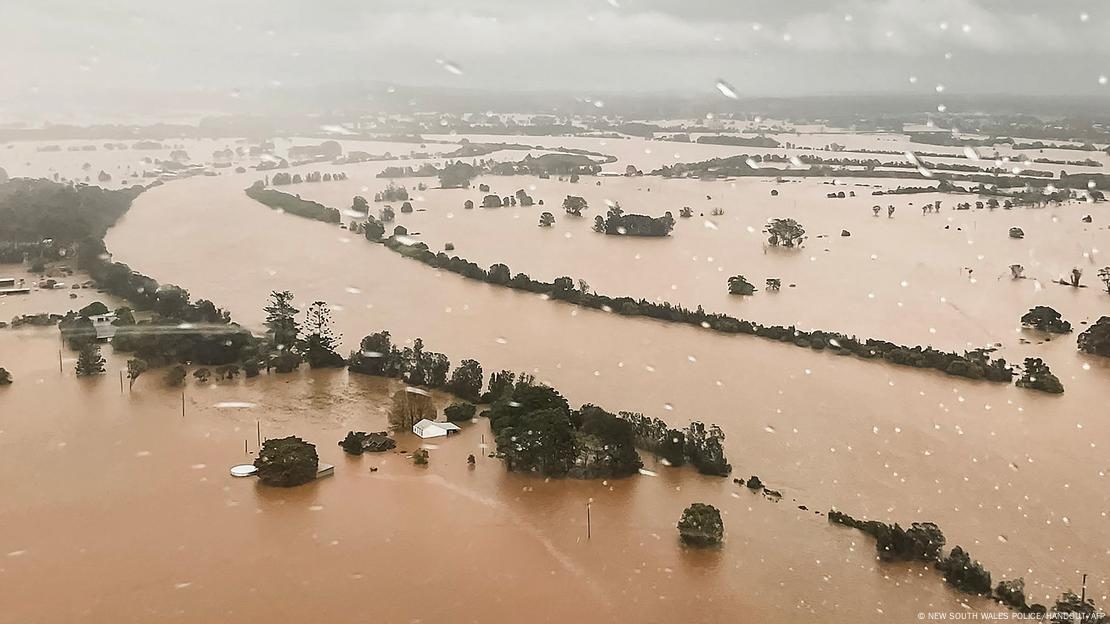 Tragédia: Inundação histórica mata mais de 140.000 bovinos na Austrália; vídeo