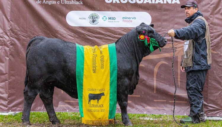 Rincon brilha nas pistas do Angus e do Ultrablack