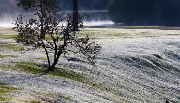 Onda polar: o que é e por que ela provoca forte queda nas temperaturas