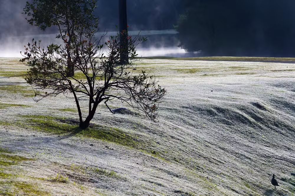 Onda polar: o que é e por que ela provoca forte queda nas temperaturas