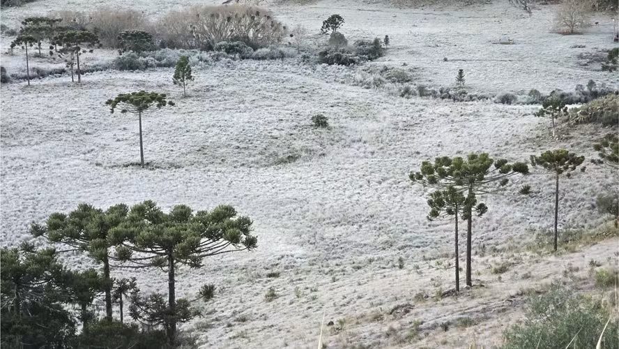Inmet emite alerta de risco de neve para 50 cidades no Brasil; confira a lista