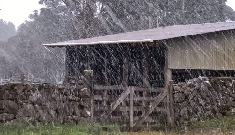 VÍDEO: Cidades do Sul do Brasil amanhecem cobertas de neve nesta quinta-feira