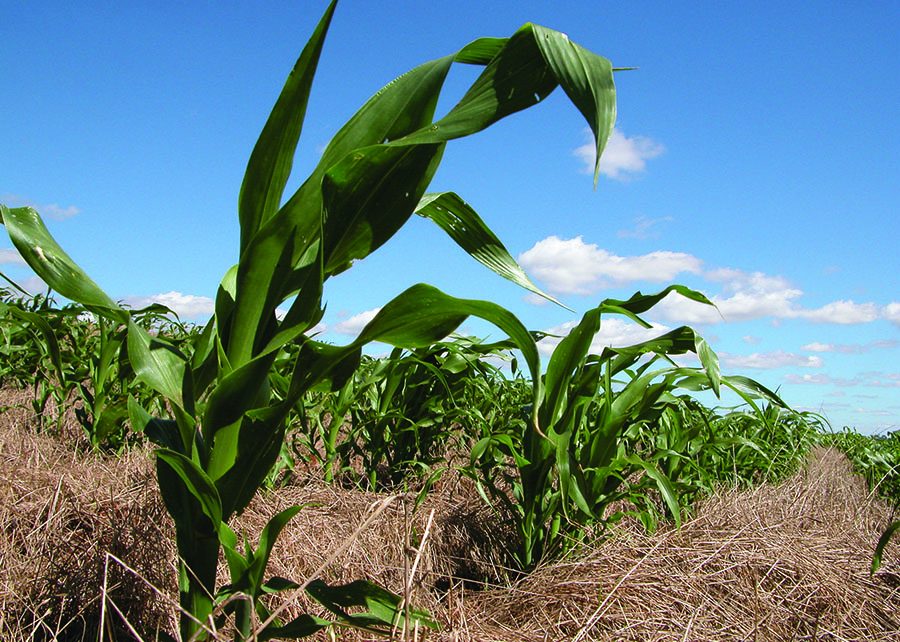 Mapa de Aptidão Agrícola das Terras do Brasil