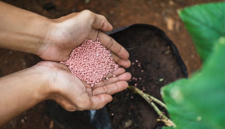 Como escolher o fertilizante ideal para garantir uma colheita farta