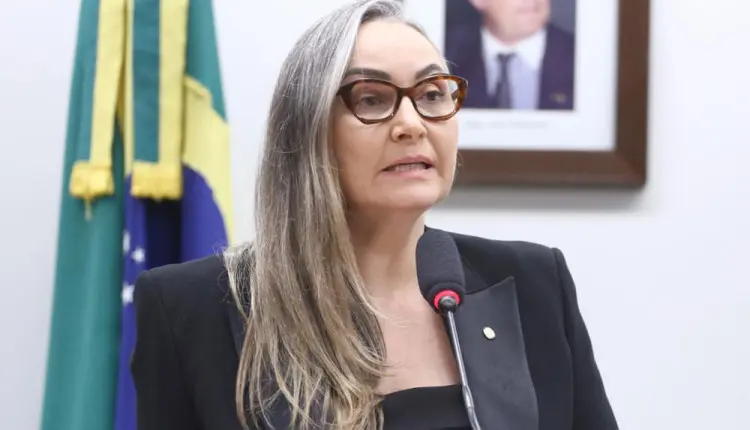 Daniela Reinehr propõe prorrogação do georreferenciamento e cobra validação do CAR na Câmara