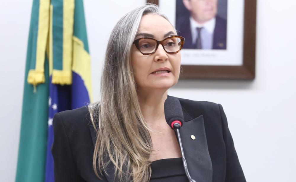 Daniela Reinehr propõe prorrogação do georreferenciamento e cobra validação do CAR na Câmara