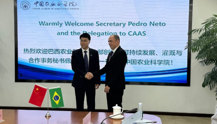 Missão do Mapa à China buscou aprofundar o diálogo sobre a sustentabilidade e a cooperação entre os dois países