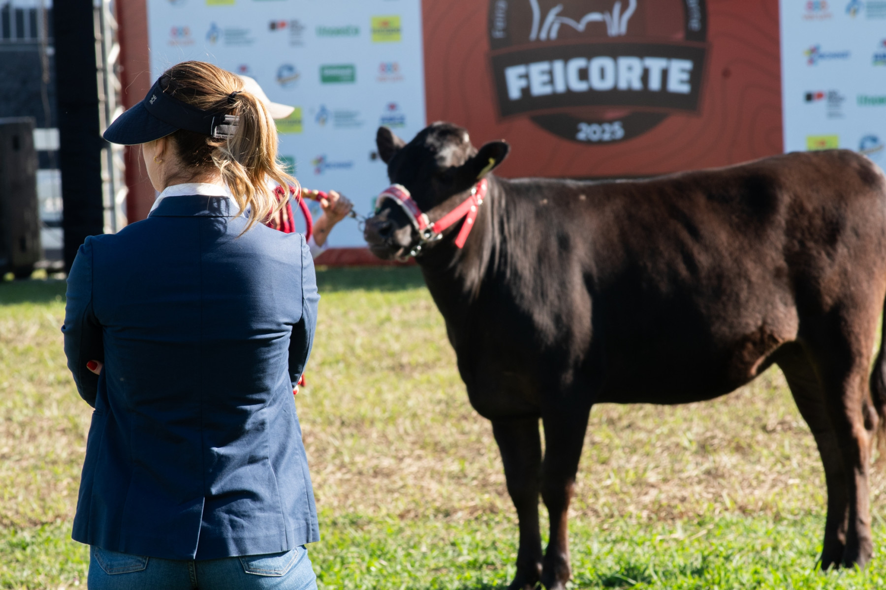 Cases de gestão técnica revelam na Feicorte novo patamar da pecuária brasileira