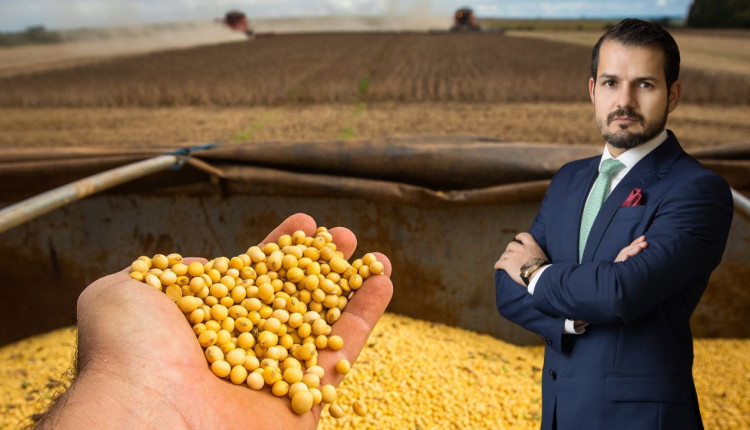 Estrategias para salvar o produtor rural da inadimplencia e proteger seu patrimonio - leandro marmo - joao domingos advogados