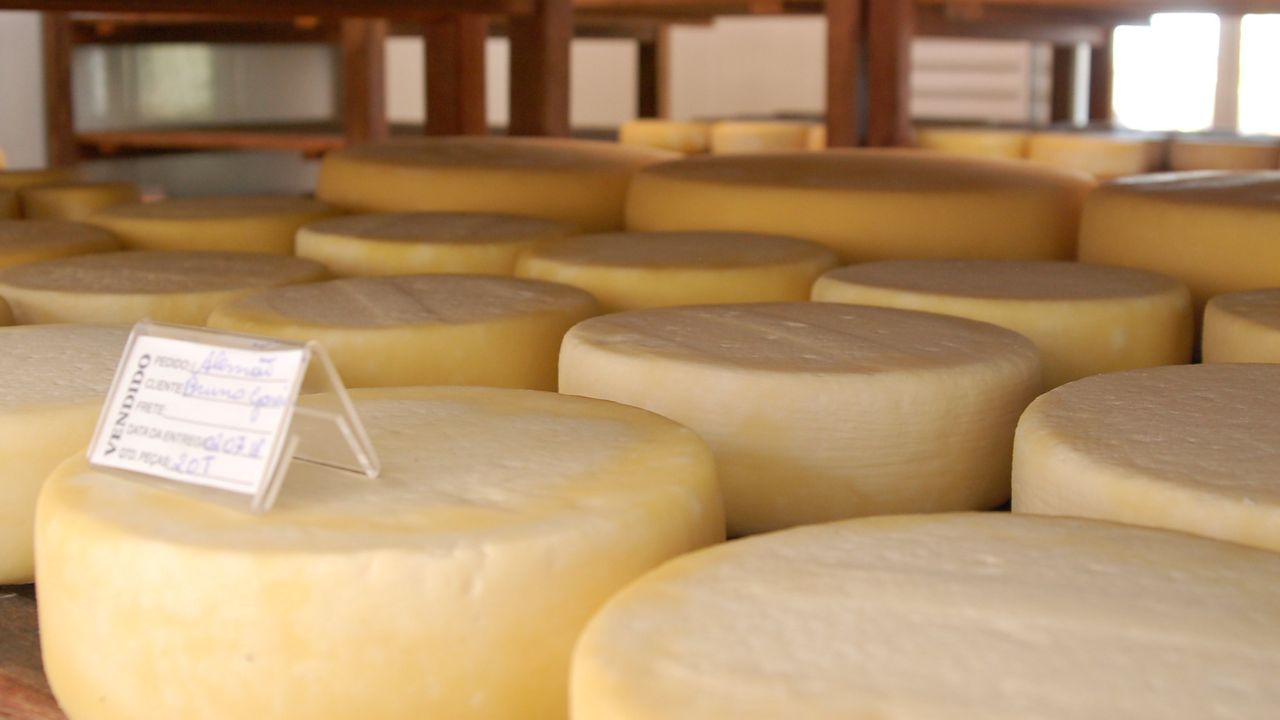 Fazenda Bela Vista e a Monte Alto Coffees para conhecer a producao de cafe e queijo da canastra curando