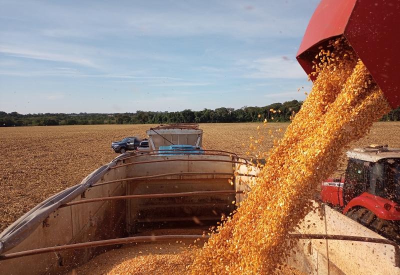 Produtores do Tocantins iniciam colheita do milho segunda safra
