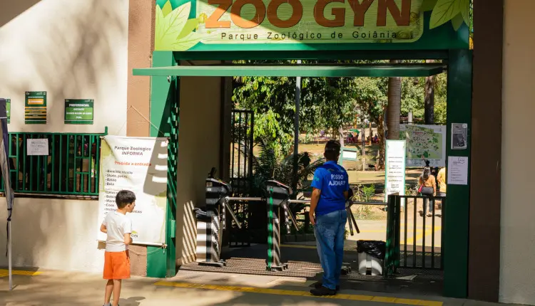 Agrodefesa informa que está investigando caso suspeito de gripe aviária em Goiás