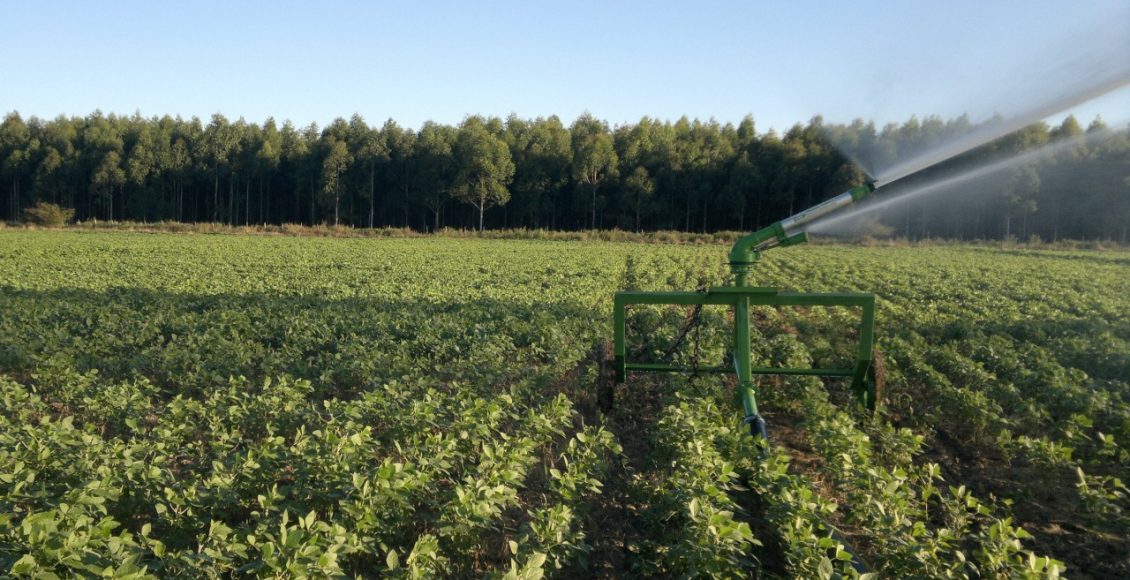 Agronegócio brasileiro tem papel-chave na contenção do aquecimento global