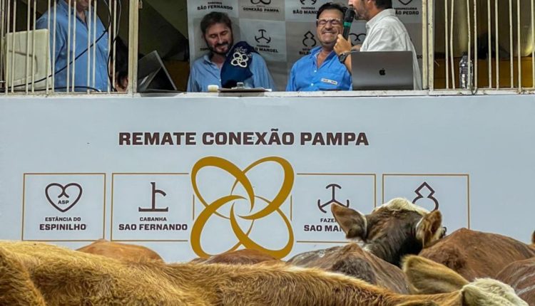 Remates da Conexão Delta G confirmam alta no mercado e valorização de genética superior