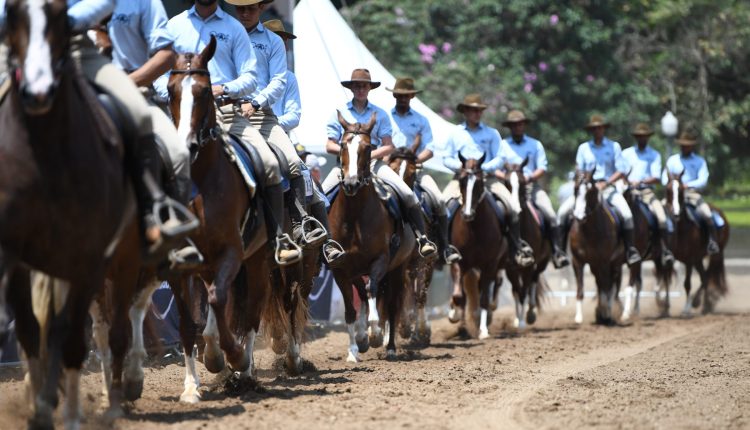 47ª Exposição Nacional do Cavalo Mangalarga será em julho no Jockey Club de São Paulo