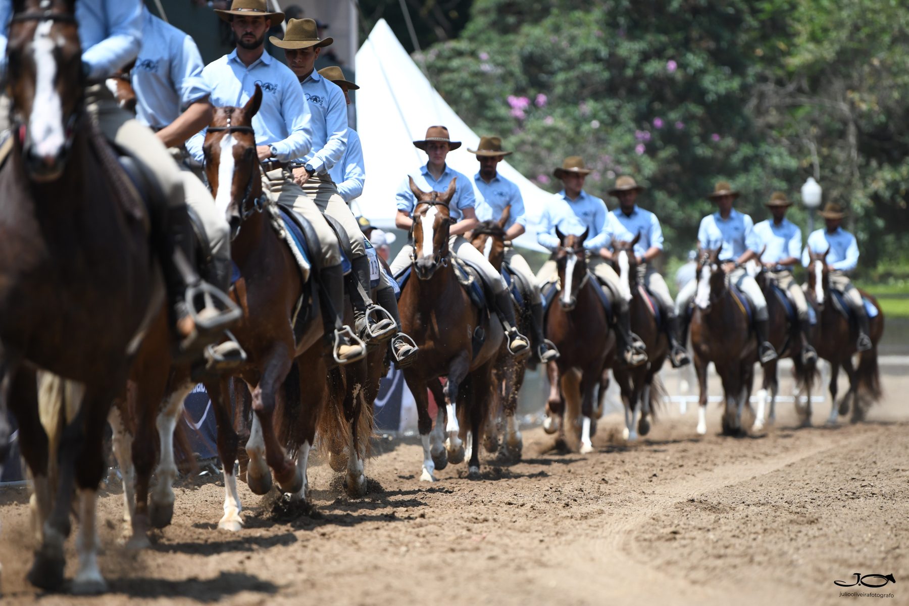 47ª Exposição Nacional do Cavalo Mangalarga será em julho no Jockey Club de São Paulo