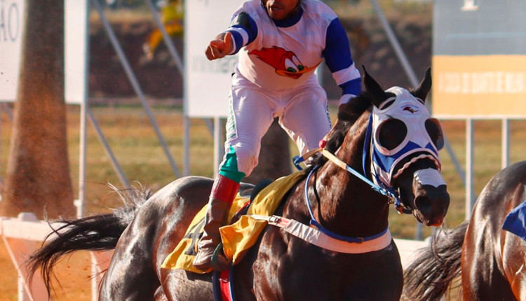 Mega Race quebra recordes e Anjo Dourado HFSJ é o campeão da Corrida do Milhão