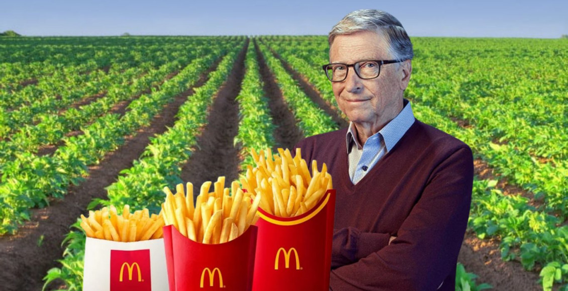 Bill Gates é dono de 275 mil acres onde são cultivadas as batatas usadas pelo McDonald’s
