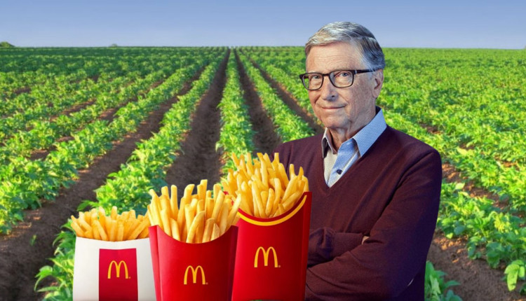 Bill Gates é dono de 275 mil acres onde são cultivadas as batatas usadas pelo McDonald’s