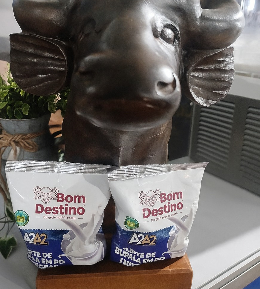 Primeiro leite em pó de búfala do Brasil é lançado durante a MegaLeite 2025