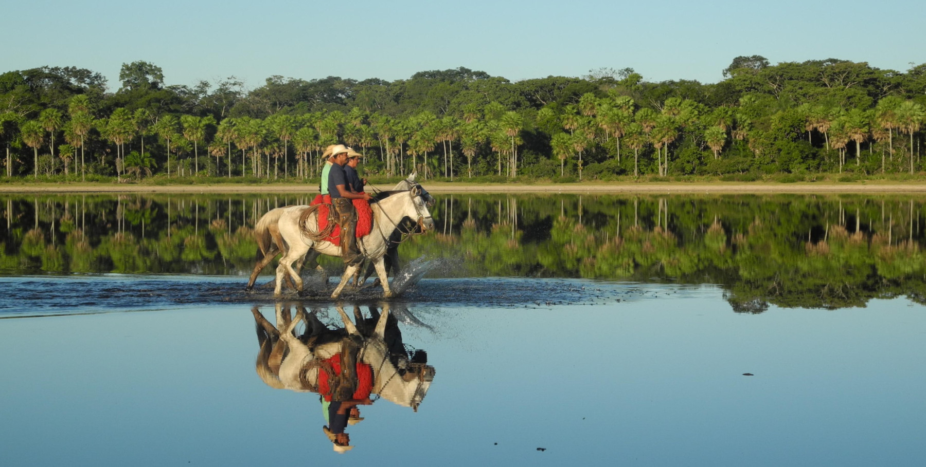 Embrapa e parceiros promovem evento pré-COP sobre os desafios climáticos do Pantanal
