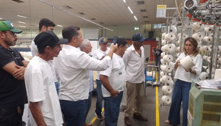 Agricultores do RN veem algodão agroecológico que cultivaram transformado em coleção de moda