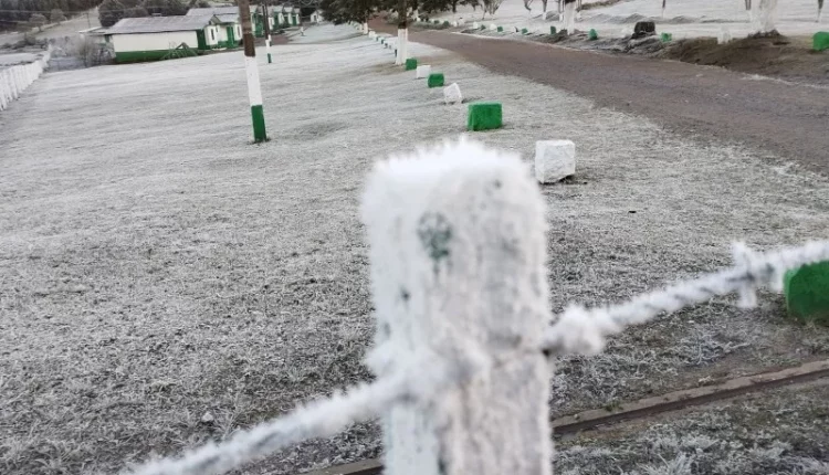 frente fria geada