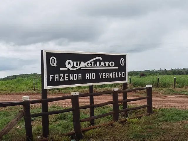 Por que o 'Rei do Gado', Roque Quagliato, está adotando um plano para salvar a Amazônia
