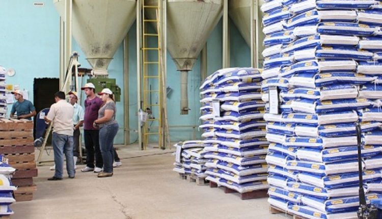 Boas práticas de fabricação na nutrição animal