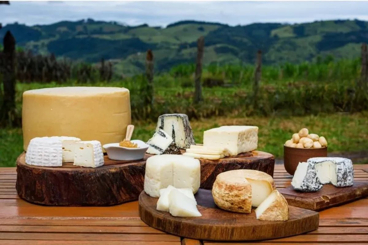 Você conhece a famosa Rota do Queijo?