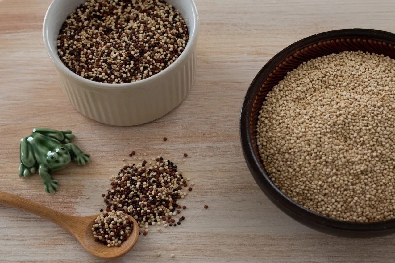 Quem planta, fatura! Veja o segredo do grão de ouro dos Andes