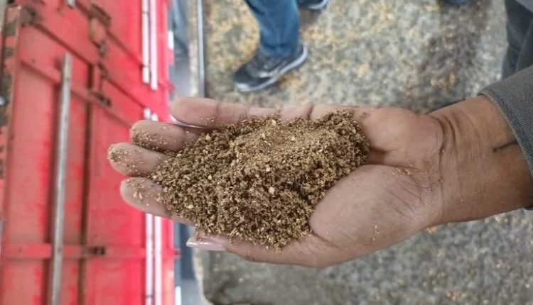 Operação flagra 40 toneladas de farelo de soja adulterado em porto