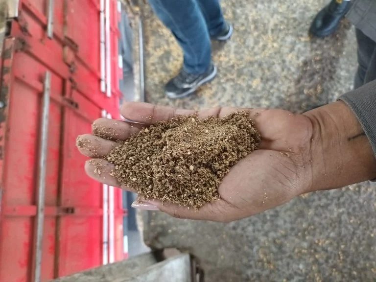 Operação flagra 40 toneladas de farelo de soja adulterado em porto