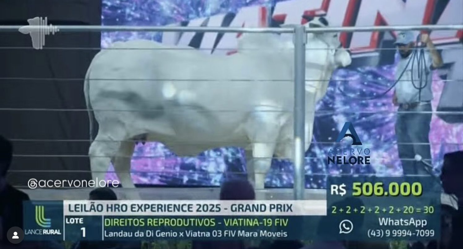 Viatina-19  vende direitos reprodutivos por R$ 15,8 milhões, um recorde