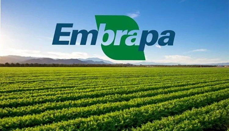 Pelo segundo ano consecutivo, Agência Embrapa de Notícias é premiada por jornalistas do Agro
