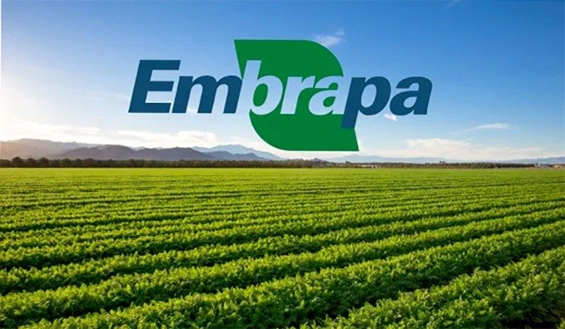 Pelo segundo ano consecutivo, Agência Embrapa de Notícias é premiada por jornalistas do Agro