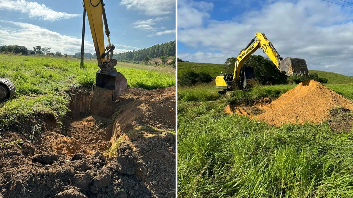 Fio de alta tensão cai e mata vacas prenhes e bezerros em Linhares