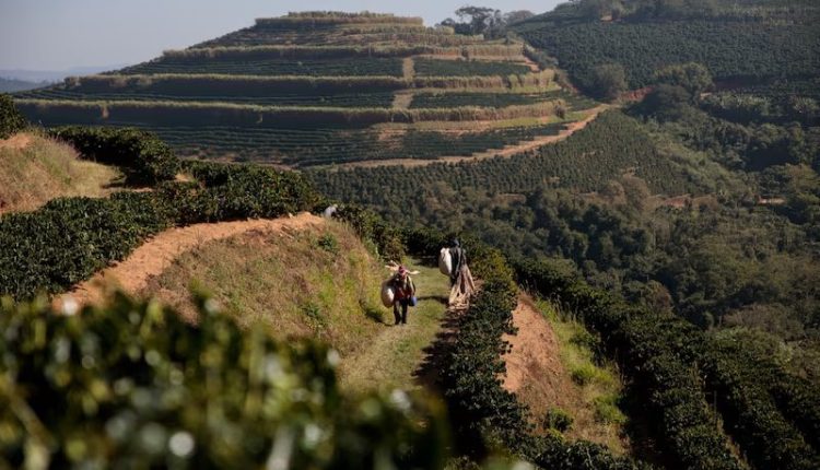 Agtech brasileira atrai investimento da Corteva para acelerar uso de biológicos