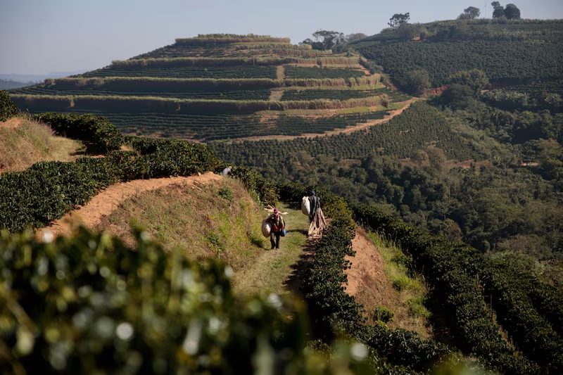 Agtech brasileira atrai investimento da Corteva para acelerar uso de biológicos
