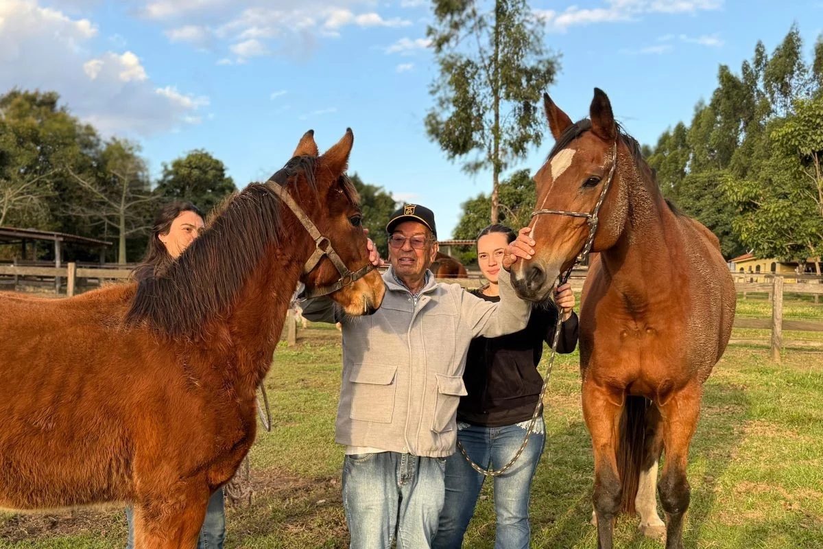 Inédito: primeiro clone de égua da raça Brasileiro de Hipismo é registrado no país